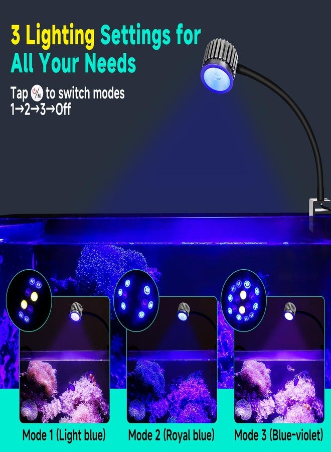 fishkeeper Clip On 24/7 Saltwater Aquarium LED Light, 8W Reef Lights for Coral DIY Color/Brightness Fish Tank Light with Timer for Coral Marine Tank Memory Function - Image 4